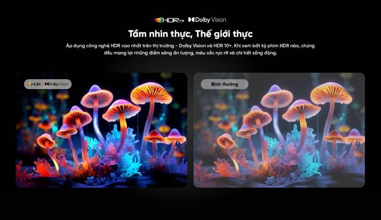 Chất lượng hình ảnh Tivi Coocaa chân thực, sống động